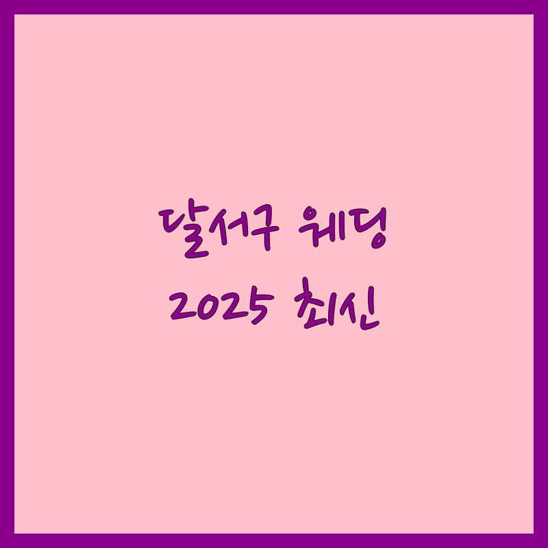 대구 달서구 웨딩 서비스 웨딩촬영 한눈에 비교 | 2025년 최신 정보 총정리