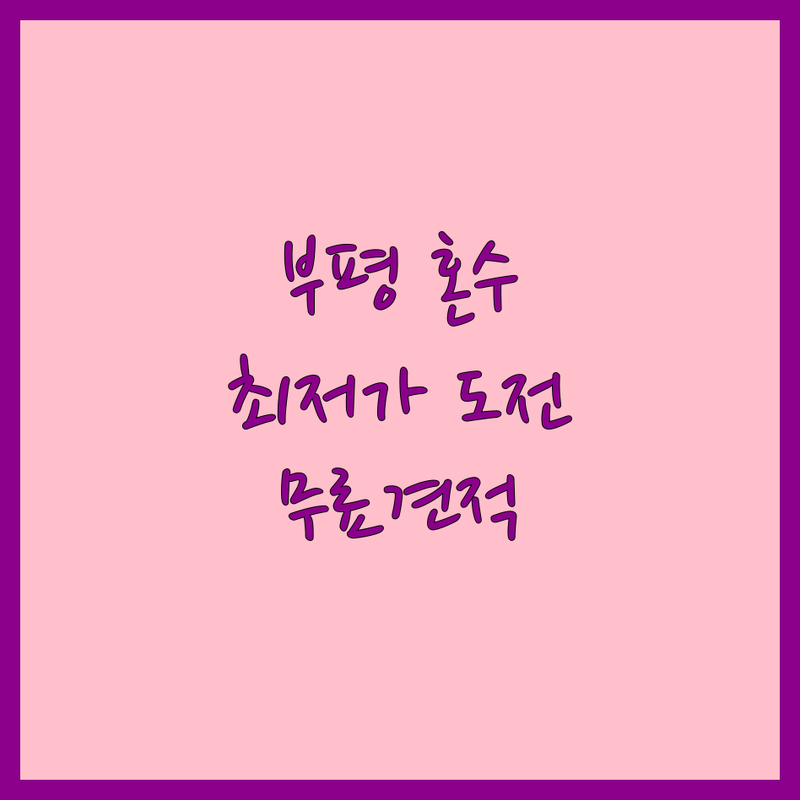 인천 부평구 혼수 가전 침구 커튼 저렴한 곳 업체 추천 | 신혼부부 입주 이사 혼수 비용 가격 잘하는 곳 | 냉장고 TV 세탁기 이불 커튼 맞춤 | 시스템에어컨 포장 이사 전문 상담 | 무료견적 방문수거 주차 편한 곳